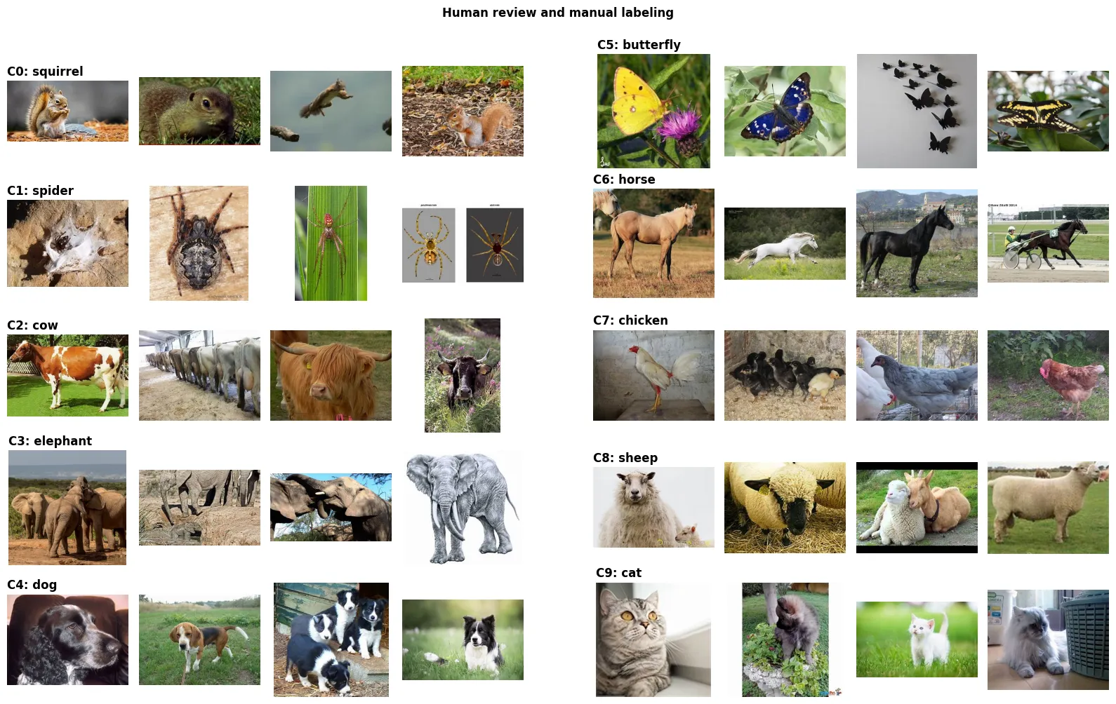 Manual verification and labeling interface showing images from each cluster